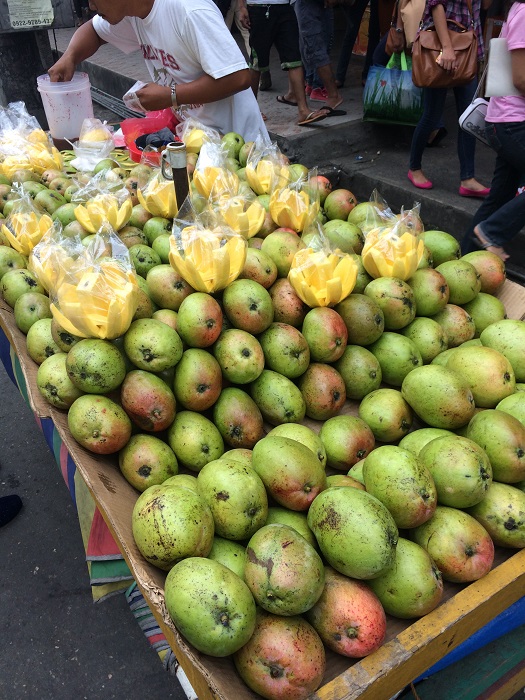 フィリピンの色々なマンゴーを食べてみよう フィリピン最新情報ブログ