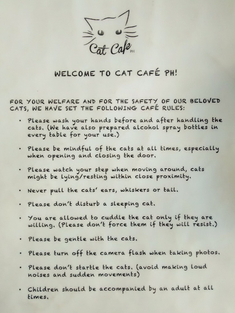 cat-café-rules