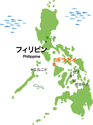 ボラカイ島 フィリピンの海外旅行 ツアー セブ王