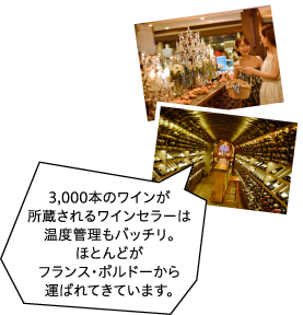 3,000本のワインが所蔵されるワインセラーは温度管理もバッチリ。ほとんどがフランス・ボルドーから運ばれてきています。