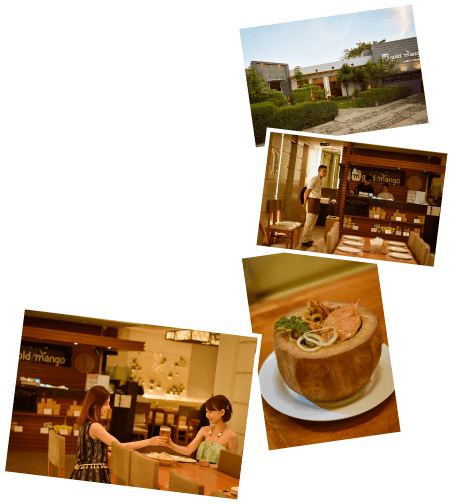 goldmango写真