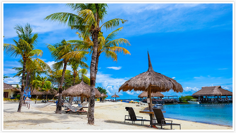 �}���o�S �u���[�E�H�[�^�[�r�[�` ���]�[�g