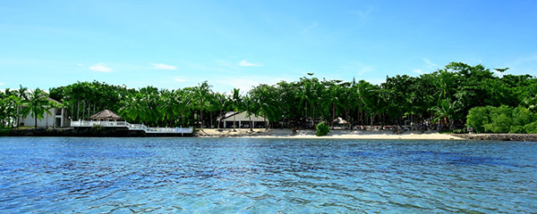 �p�V�t�B�b�N �Z�u ���]�[�g