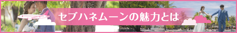 セブハネムーンの魅力とは