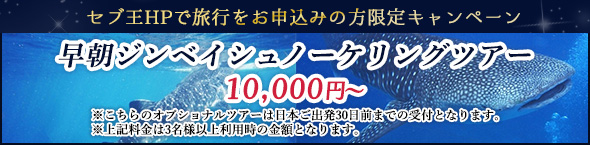 �����W���x�C�V���m�[�P�����O�c�A�[