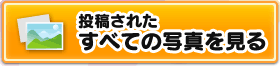 投稿されたすべての写真を見る