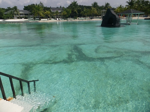 �ץ��ơ������ �٥� �꥾���ȡ����� 2