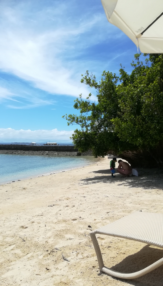 �ץ��ơ������ �٥� �꥾���ȡ����� 2