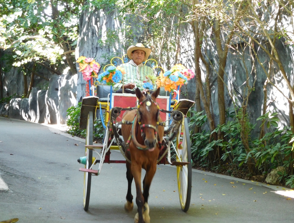 �ץ��ơ������ �٥� �꥾���ȡ����� 3