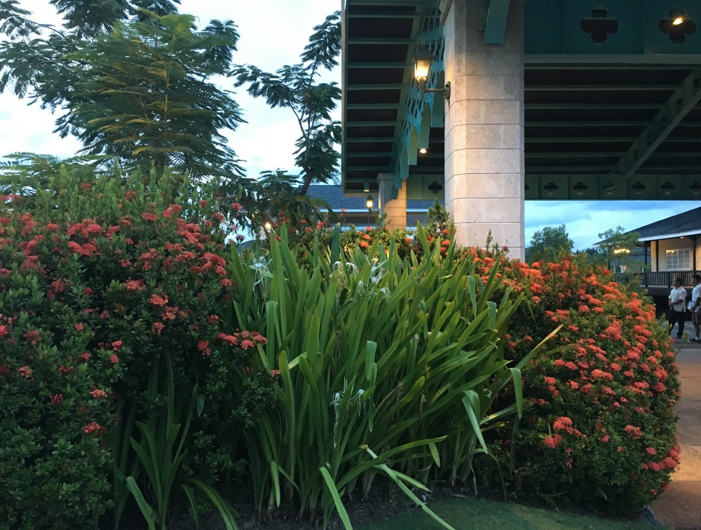 �ץ��ơ������ �٥� �꥾���ȡ����� 4