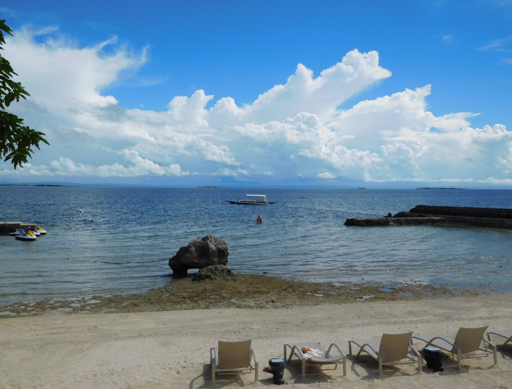 �ץ��ơ������ �٥� �꥾���ȡ����� 6