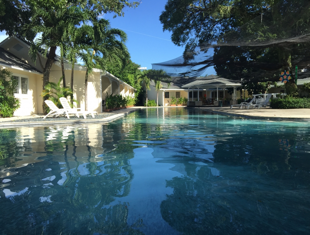 �ץ��ơ������ �٥� �꥾���ȡ����� 6