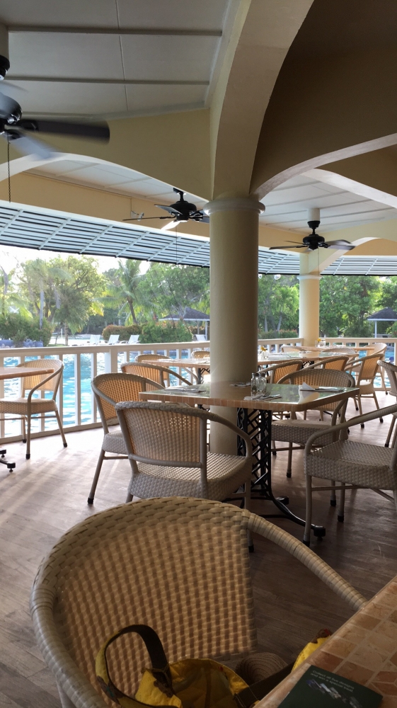 �ץ��ơ������ �٥� �꥾���ȡ����� 6