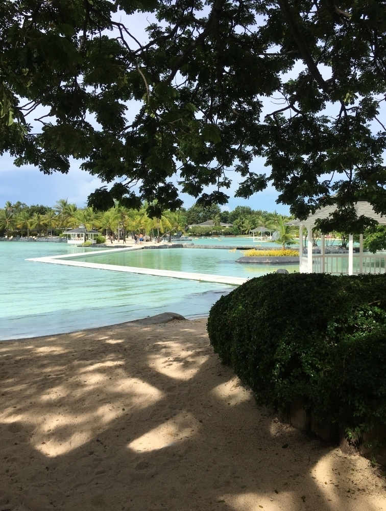 �ץ��ơ������ �٥� �꥾���ȡ����� 7