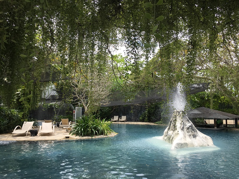 �ץ��ơ������ �٥� �꥾���ȡ����� 8