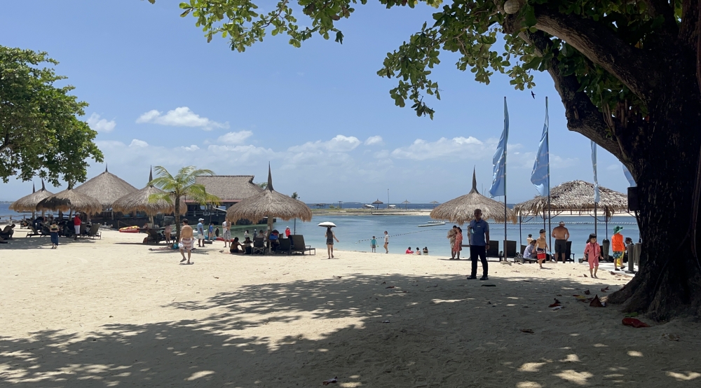 �֥롼���������� �ޥ�Х� �ӡ��� �꥾����