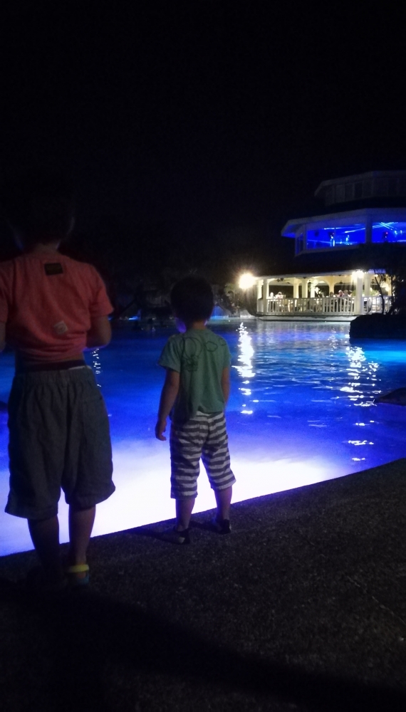 �ץ��ơ������ �٥� �꥾���ȡ����� 1