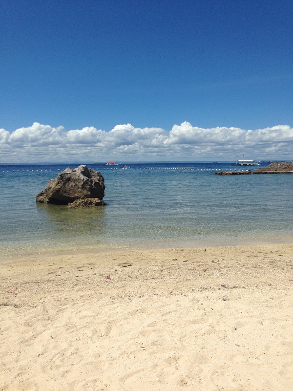 �ץ��ơ������ �٥� �꥾���ȡ����� 1