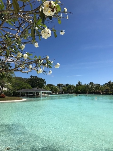 �ץ��ơ������ �٥� �꥾���ȡ����� 1