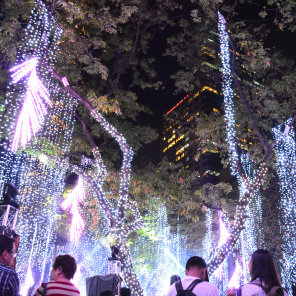 アヤラ・トライアングル公園で開催するライトショー画像
