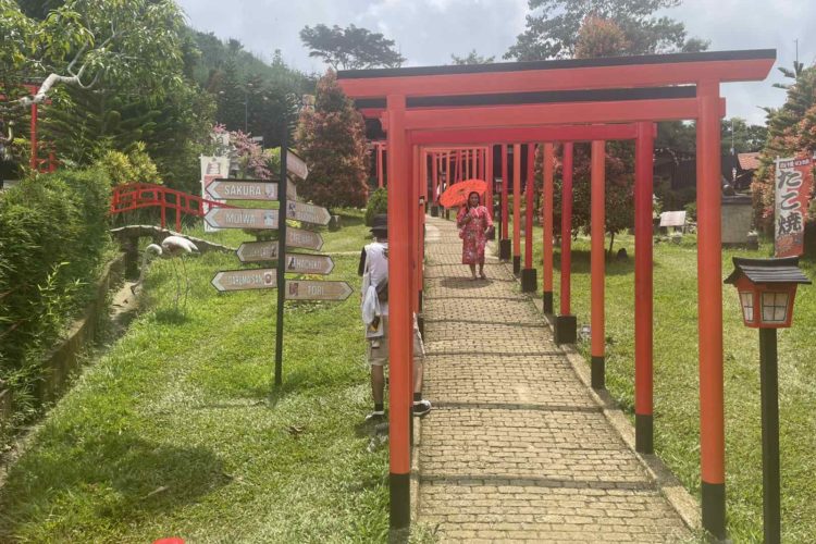 0-02-06-fa67bccdb97498b26e88b3054a04bfe36234b8355e909d2d9af8f42464a7507a_62b025e6b6978b4e