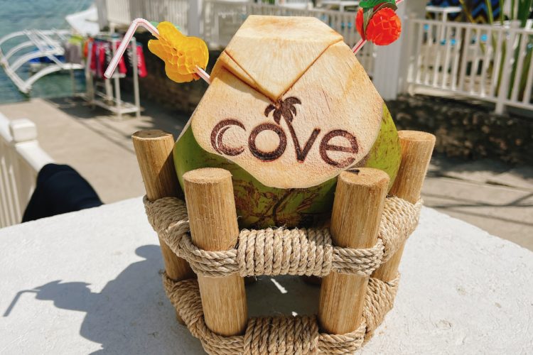 coconutsjuiceservice (1)