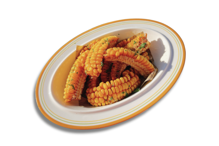 harmonicacornrib (1)