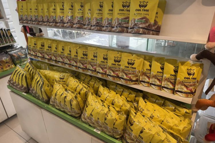 0-02-08-9a2ed89053dba9a36aadf7f7487e1e0aa5ed43c12f36e03a0759ef80cfde1c90_a90ac42ca0d47804