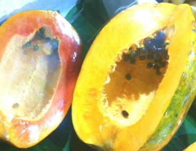 Fruit_Papaya.jpg