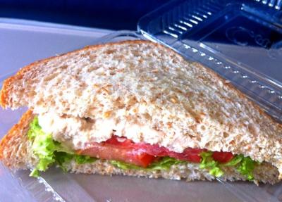 T2Gate_Sandwich.JPG