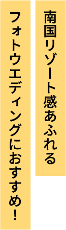 南国リゾート感あふれるフォトウエディングにおすすめ！
