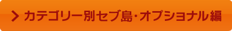 カテゴリー別セブ島・オプショナル編