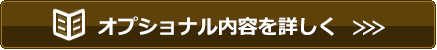 オプショナル内容を詳しく