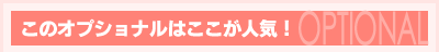 このオプショナルはここが人気！