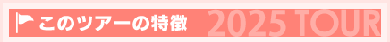 このツアーの特徴