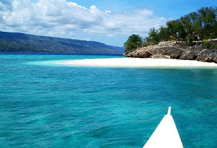 セブ島に行ったら１度は経験したい！ジンベエザメとシュノーケリング体験つきプラン！の画像2