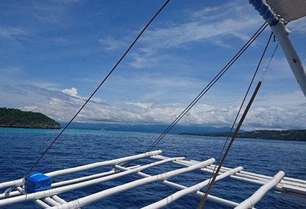 セブ島に行ったら１度は経験したい！ジンベエザメとシュノーケリング体験つきプラン！の画像3