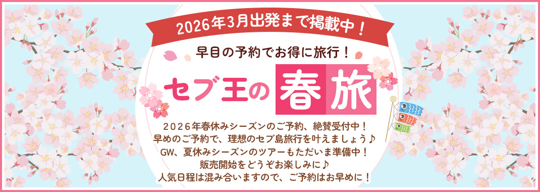 y2026N3o܂ŌfڒIzZȕt